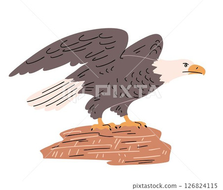 Bald eagle sitting on a rock 126824115