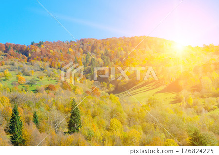 Colorful autumn landscape in the forest and bright sunrise. 126824225