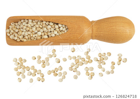Sorghum seeds in wooden spoon isolated on white background. Top view. Flat lay. Sorghum seeds in wooden spoon isolated on white background. Top view. Flat lay. 126824718
