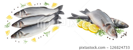 Sea bass fich isolated on white background . Top view. Flat lay 126824733