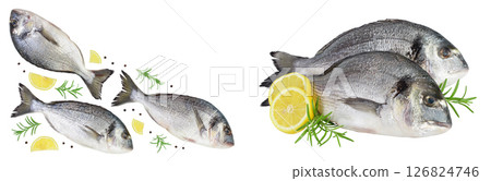 Fish dorado isolated on white background with full depth of field. Top view with copy space for your text. Flat lay 126824746