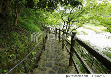 Genbudo Park Promenade, Toyooka City, Hyogo Prefecture Genbudo Park Promenade, Toyooka City, Hyogo Prefecture 126824899