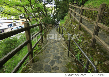 兵庫縣豐岡市玄武洞公園散步道 126824900