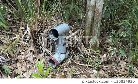 Mongoose Hole Trap Mongoose Hole Trap 126824920