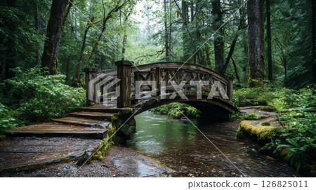 A Weathered Wooden Bridge Arching Over the Forest River. 126825011