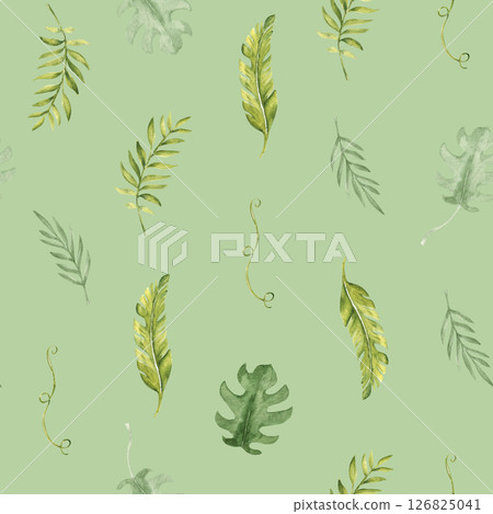 Tropical Leaves Seamless Pattern on a green background. Palm, Eucalyptus and Monstera with Liana. Watercolor Hand drawn botanical illustration. For packaging paper and textile prints. Tropical Leaves Seamless Pattern on a green background. Palm, Eucalyptus and Monstera with Liana. Watercolor Hand drawn botanical illustration. For packaging paper and textile prints. 126825041