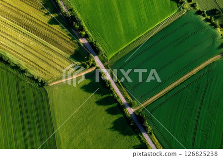 Top-Down View of Green Agricultural Fields. 126825238