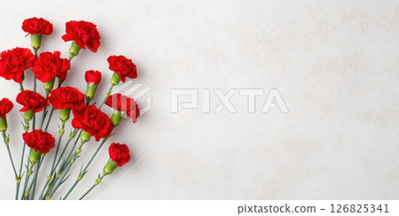 Red Carnation Flowers on Light Textured Background Red Carnation Flowers on Light Textured Background 126825341