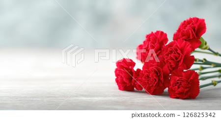 Red Carnation Bouquet with Soft Light Blue Background Red Carnation Bouquet with Soft Light Blue Background 126825342