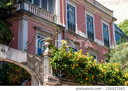 Historic building with pink facade and palm tree in Lisbon Historic building with pink facade and palm tree in Lisbon 126825561