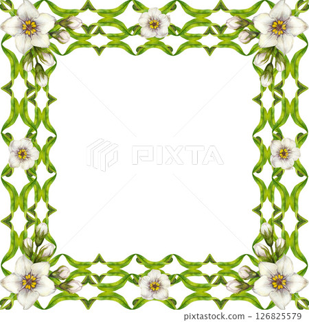 Watercolor floral frame with green vine, leaves, white flowers. Square frame template. Elegant and natural style, perfect for wedding invitations, greeting cards, quotes, or eco-friendly branding 126825579
