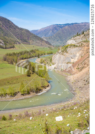 Chuya River flowing through dense forest and mountains in Altai Russia. Wild Siberian landscape showcasing pristine nature and natural terrain 126825716