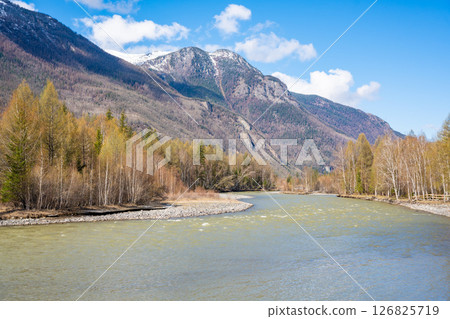 Chuya River flowing through dense forest and mountains in Altai Russia. Wild Siberian landscape showcasing pristine nature and natural terrain 126825719