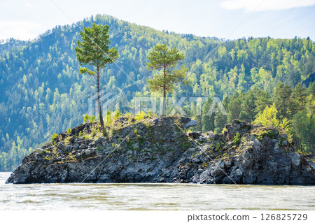 Bear Island located on Katun river in Altai Russia. Scenic river island surrounded by mountain waters and natural landscape. 126825729