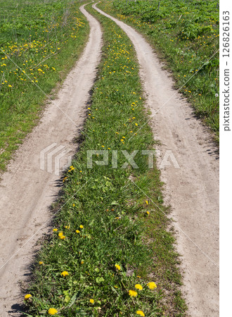 Closeup of car track in green meadow 126826163