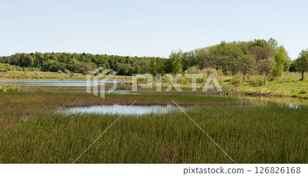 Small lake with marshy shores Small lake with marshy shores 126826168