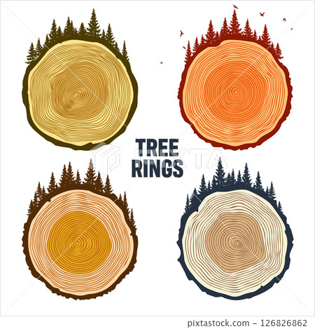 Round tree trunk cuts with trees, forest and birds. Sawn pine or oak slices, lumber. Saw cut timber, wood. Brown wooden texture with tree rings. Hand drawn sketch. Vector illustration 126826862
