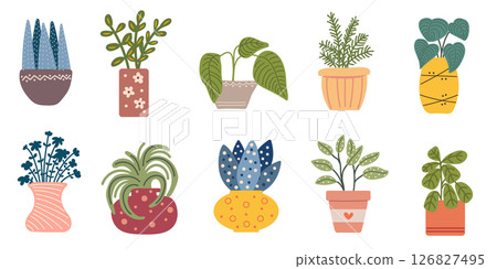 Set of plants in pots. Simple home plants potted. 126827495
