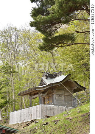 Photographing the scenery of Ishizaki Jinushiumi Shrine in spring in Hakodate, Hokkaido 126827519