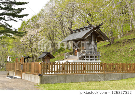 Photographing the scenery of Ishizaki Jinushiumi Shrine in spring in Hakodate, Hokkaido 126827532