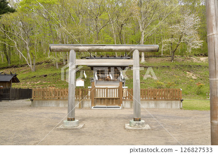 拍攝北海道函館石崎蛇海神社春天的景色 拍攝北海道函館石崎蛇海神社春天的景色 126827533