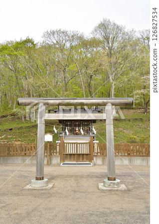 Photographing the scenery of Ishizaki Jinushiumi Shrine in spring in Hakodate, Hokkaido 126827534