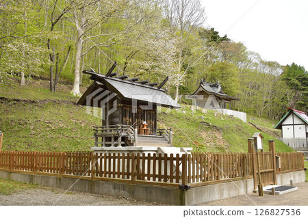 Photographing the scenery of Ishizaki Jinushiumi Shrine in spring in Hakodate, Hokkaido 126827536