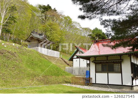 Photographing the scenery of Ishizaki Jinushiumi Shrine in spring in Hakodate, Hokkaido 126827545