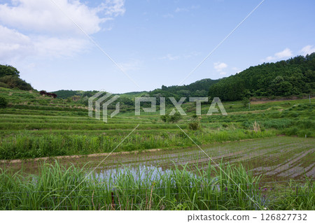 日本岡山縣三崎町大川西梯田的美麗風景 126827732