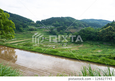 Beautiful scenery of rice terraces in Ohawanishi, Misaki town, Okayama prefecture, Japan Beautiful scenery of rice terraces in Ohawanishi, Misaki town, Okayama prefecture, Japan 126827745