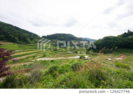 日本岡山縣三崎町大川西梯田的美麗風景 126827746