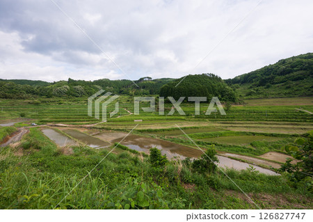 日本岡山縣三崎町大川西梯田的美麗風景 126827747