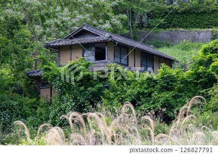 日本岡山縣三崎町大川西的一座古老而美麗的建築 126827791