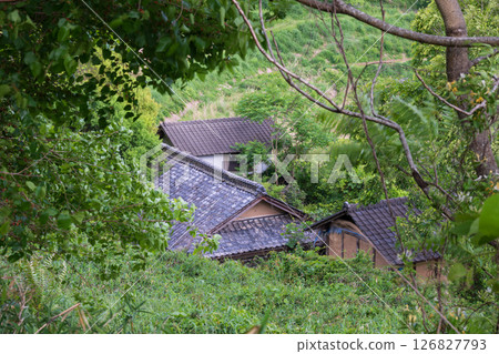 日本岡山縣三崎町大川西的一座古老而美麗的建築 126827793