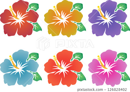 Hibiscus 126828402
