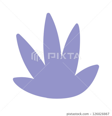 Seaweeds flora boho design element 126828867