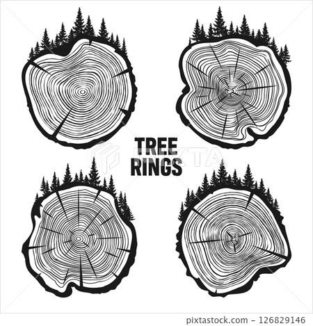 Round tree trunk cuts with trees and forest. Sawn pine or oak slices, lumber. Saw cut timber, wood. Brown wooden texture with tree rings. Hand drawn sketch. Vector illustration Round tree trunk cuts with trees and forest. Sawn pine or oak slices, lumber. Saw cut timber, wood. Brown wooden texture with tree rings. Hand drawn sketch. Vector illustration 126829146