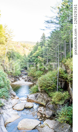 Pemigewasset River seen from inside the Sentinel Pine Covered Bridge in New Hampshire's Franconia Notch State Park Pemigewasset River seen from inside the Sentinel Pine Covered Bridge in New Hampshire's Franconia Notch State Park 126829161