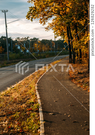 A winding bike path curves beside a quiet road lined with autumn trees under golden evening light. Urban mobility, seasonal transition, climate-adaptive infrastructure, eco-conscious travel.. 126829282