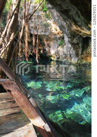 Gran Cenote, a hidden gem with exceptional transparency, located in Cancun, Mexico, Central America 126829351