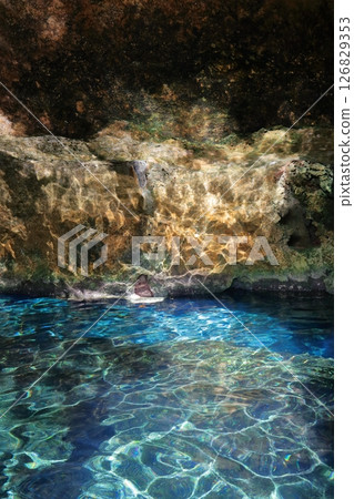 Gran Cenote, a hidden gem with exceptional transparency, located in Cancun, Mexico, Central America Gran Cenote, a hidden gem with exceptional transparency, located in Cancun, Mexico, Central America 126829353