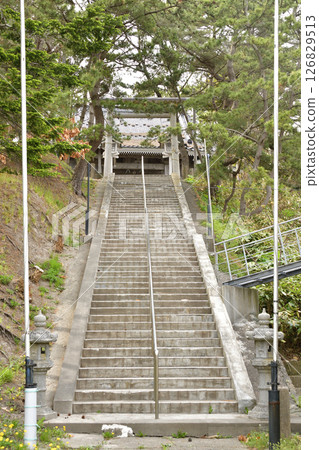 Photographing the grounds of Ishizaki Hachiman Shrine in spring in Hakodate, Hokkaido Photographing the grounds of Ishizaki Hachiman Shrine in spring in Hakodate, Hokkaido 126829513