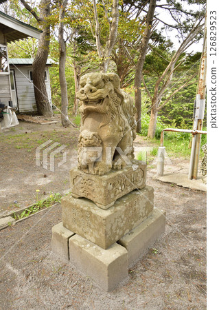 拍攝北海道函館市春天的石崎八幡宮境內 126829523