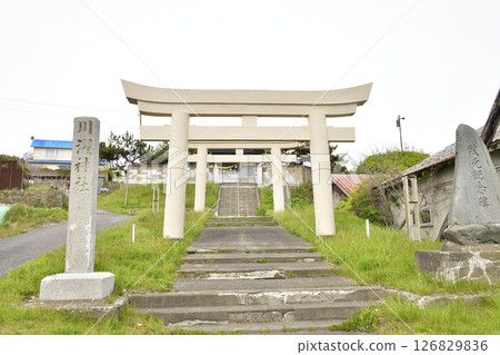 Photographing the grounds of Kawataku Shrine in Hakodate, Hokkaido in spring 126829836