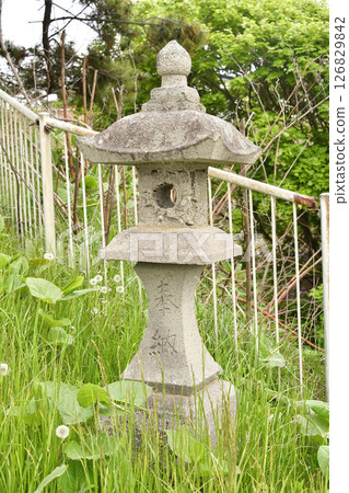 Photographing the grounds of Kawataku Shrine in Hakodate, Hokkaido in spring 126829842