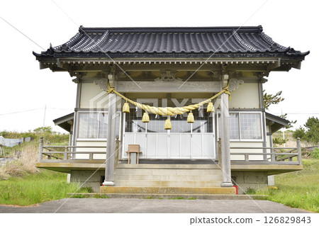 春天拍攝北海道函館川滝神社的庭院 春天拍攝北海道函館川滝神社的庭院 126829843