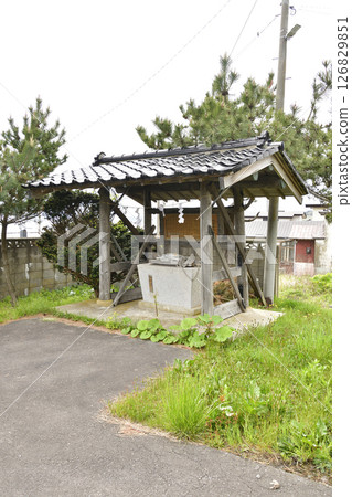 春天拍攝北海道函館川滝神社的庭院 126829851