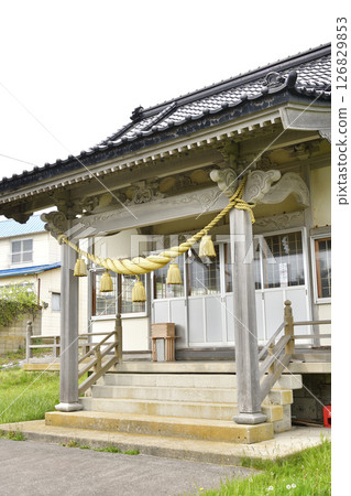 春天拍攝北海道函館川滝神社的庭院 126829853
