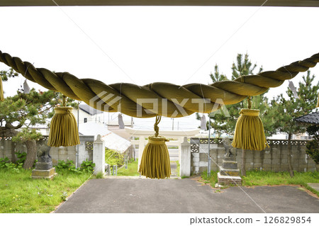 春天拍攝北海道函館川滝神社的庭院 春天拍攝北海道函館川滝神社的庭院 126829854