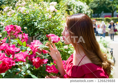 Yamashita Park Rose Garden Portrait Yamashita Park Rose Garden Portrait 126829888